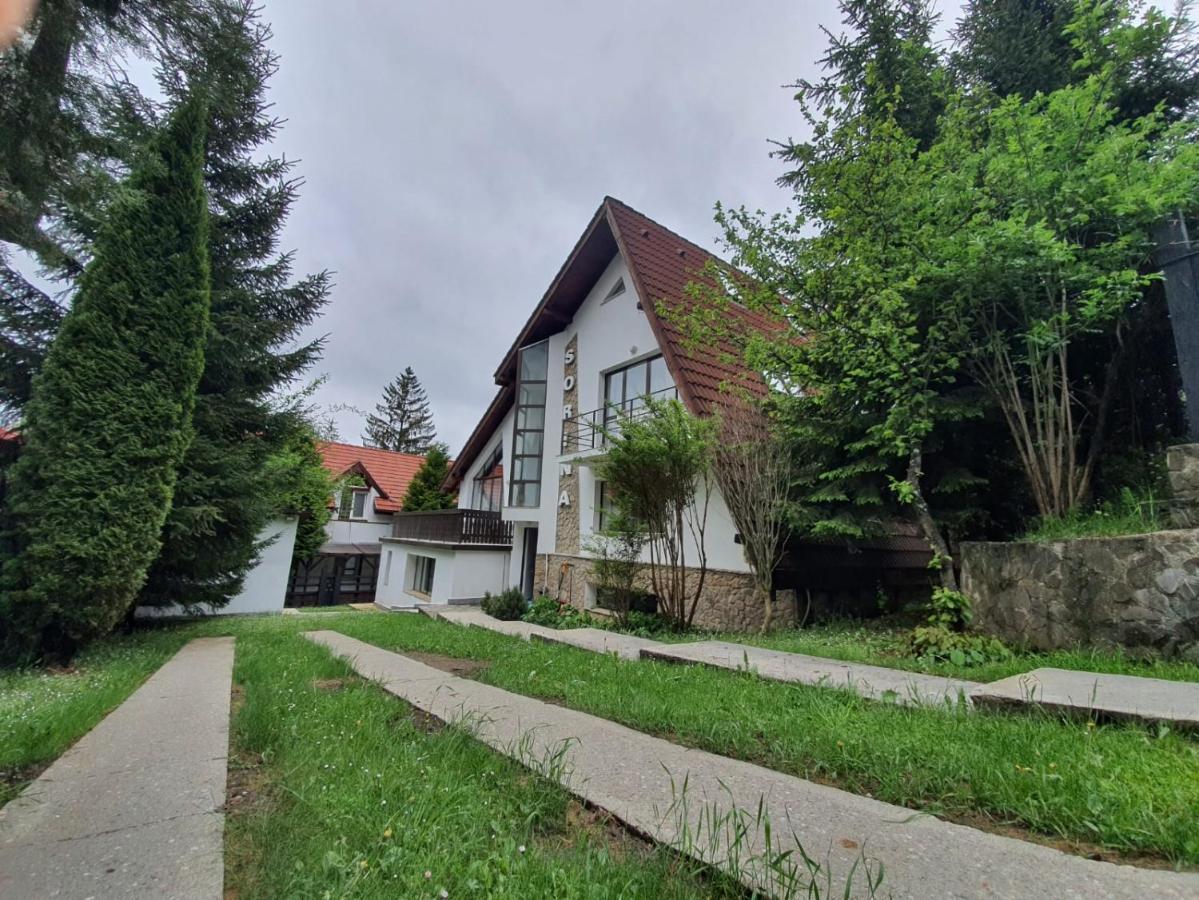 Vila Sorina Poiana Brasov Exteriör bild