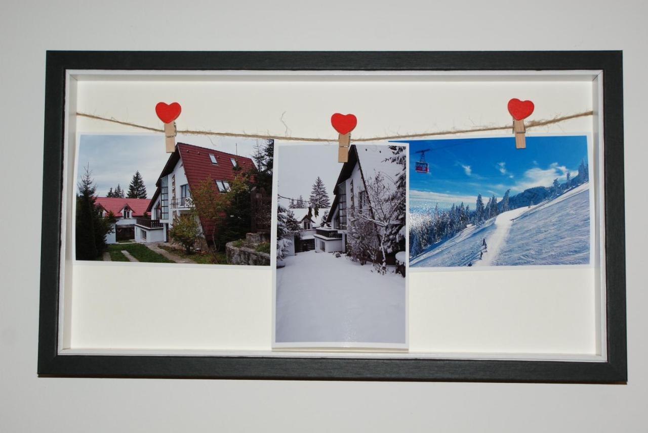 Vila Sorina Poiana Brasov Exteriör bild